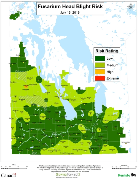 Fusarium head blight risk in Canada