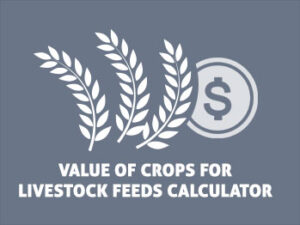 value of crops for livestock feeds calculator