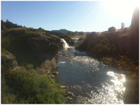 river in cattle country