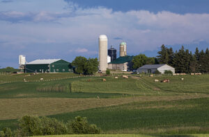 Ontario farmyard with cattle - BCRC is focusing on extension programs in eastern Canada