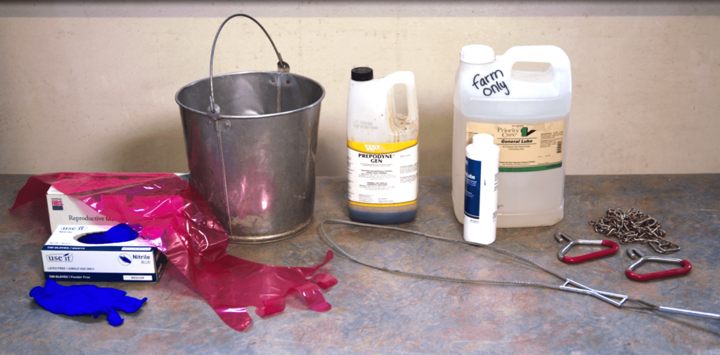 calving supplies 
