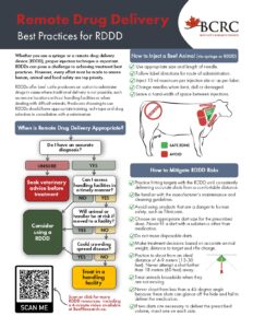 remote drug delivery best practices for treatment of beef cattle 