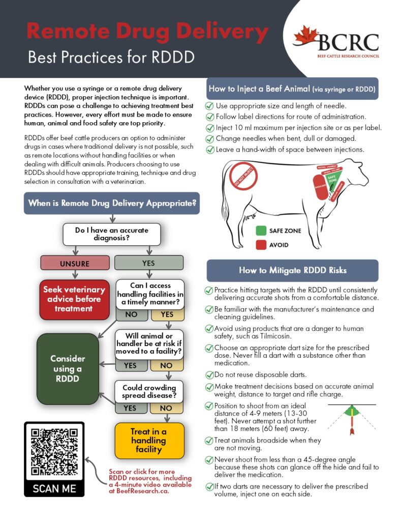 remote drug delivery for beef cattle best practices